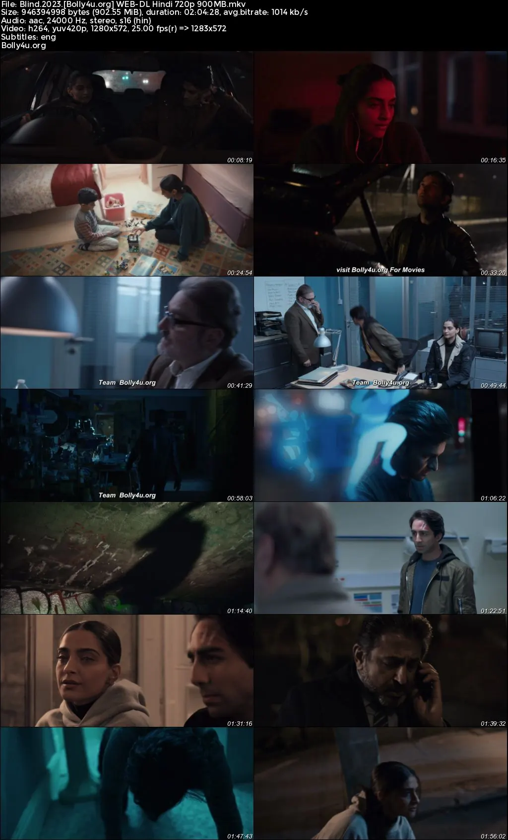 Blind 2023 WEB-DL Hindi Full Movie Download 1080p  720p  480p
