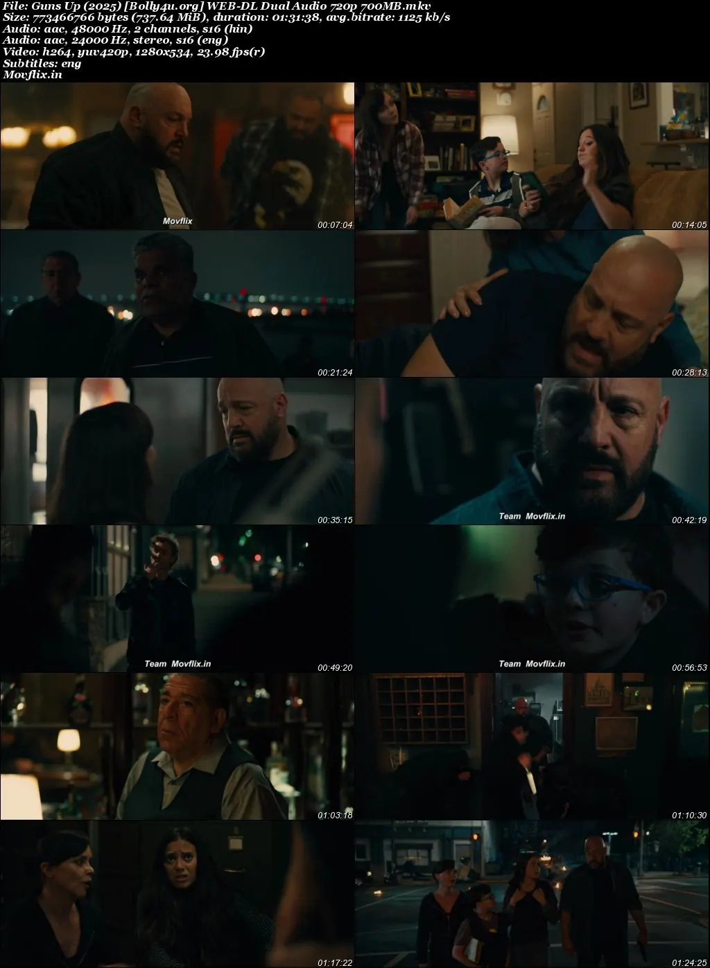 Guns Up 2025 WEB-DL Hindi Dual Audio ORG Full Movie Download 1080p  720p  480p
