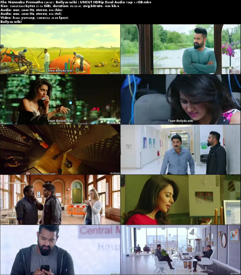 Nannaku Prematho 2016 HDRip 450Mb UNCUT Hindi Dual Audio 480p Download