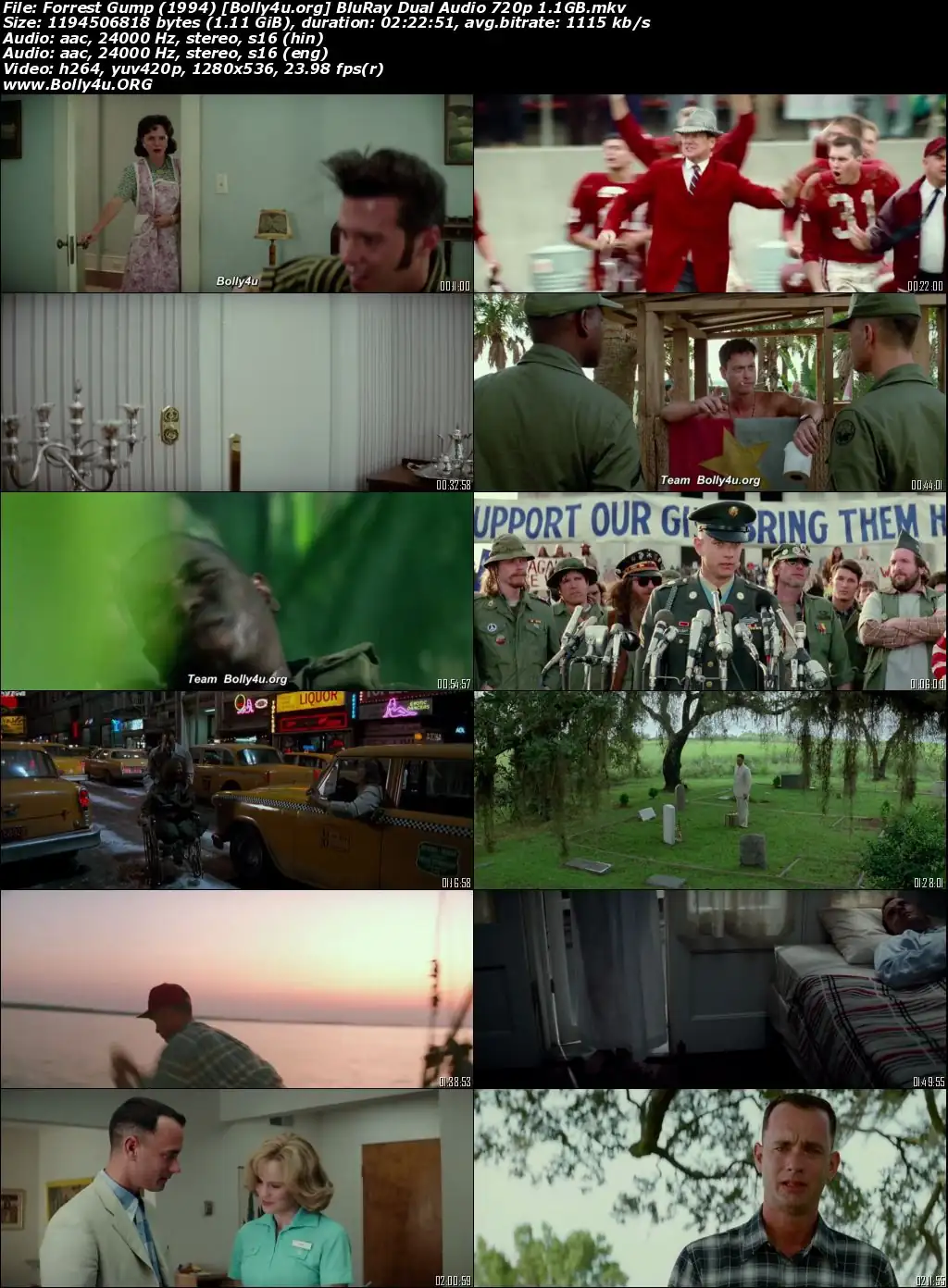 Forrest Gump 1994 BluRay Hindi Dual Audio 720p 480p Download