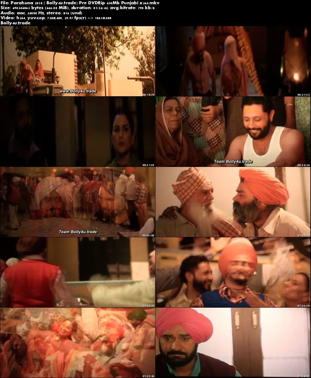 Parahuna 2018 Pre DVDRip 300Mb Full Hindi Movie Download 480p