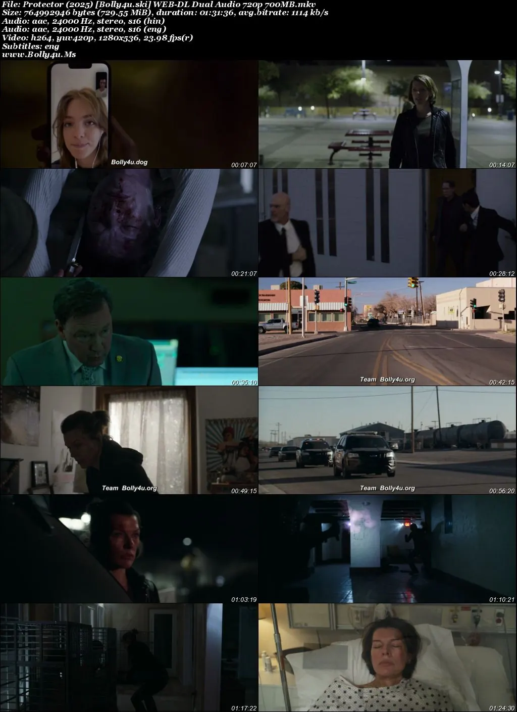 Protector 2025 WEB-DL Hindi Dual Audio ORG Full Movie Download 1080p  720p  480p