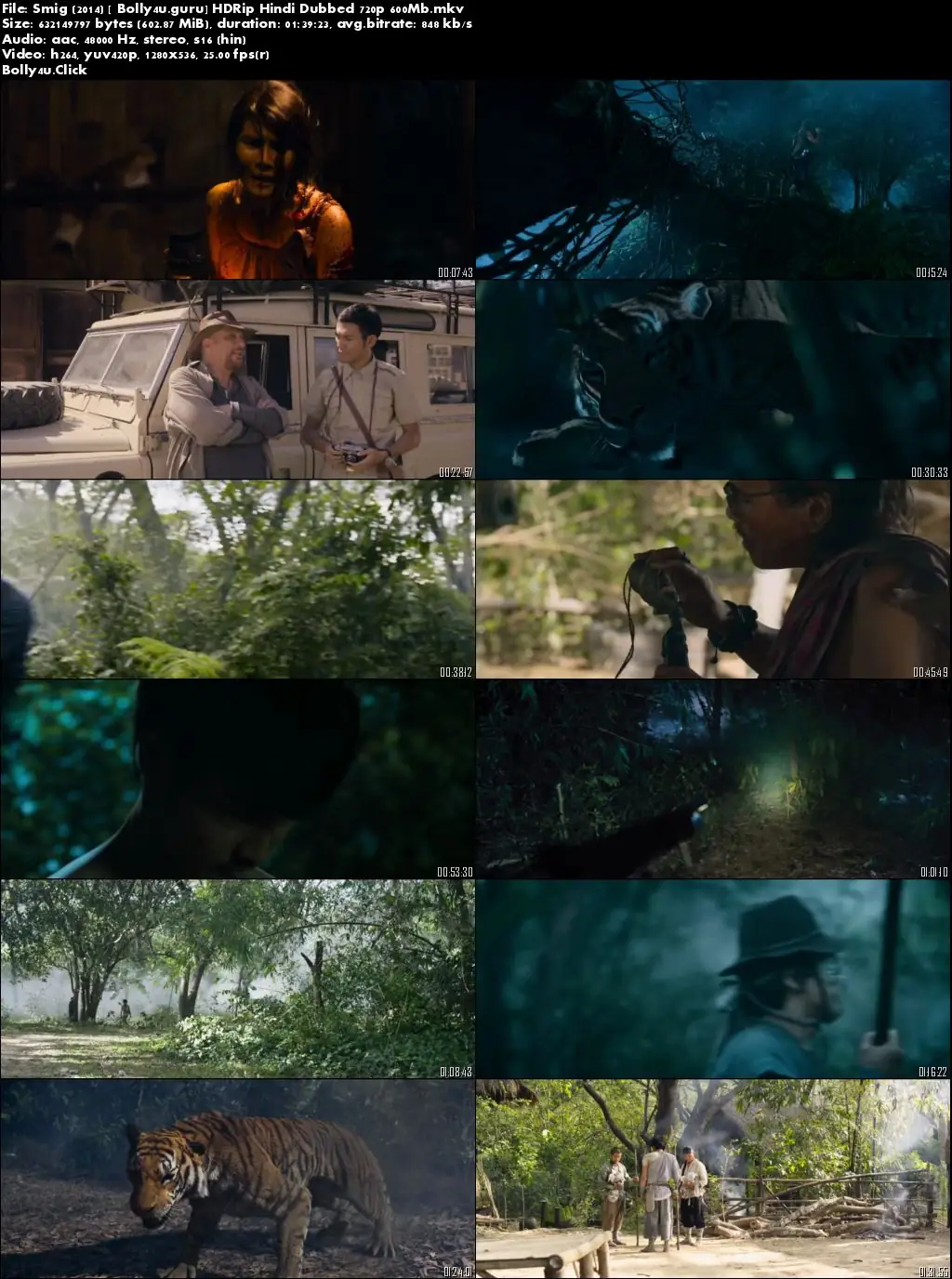 Sming 2014 HDRip 300Mb Hindi Dubbed 480p download