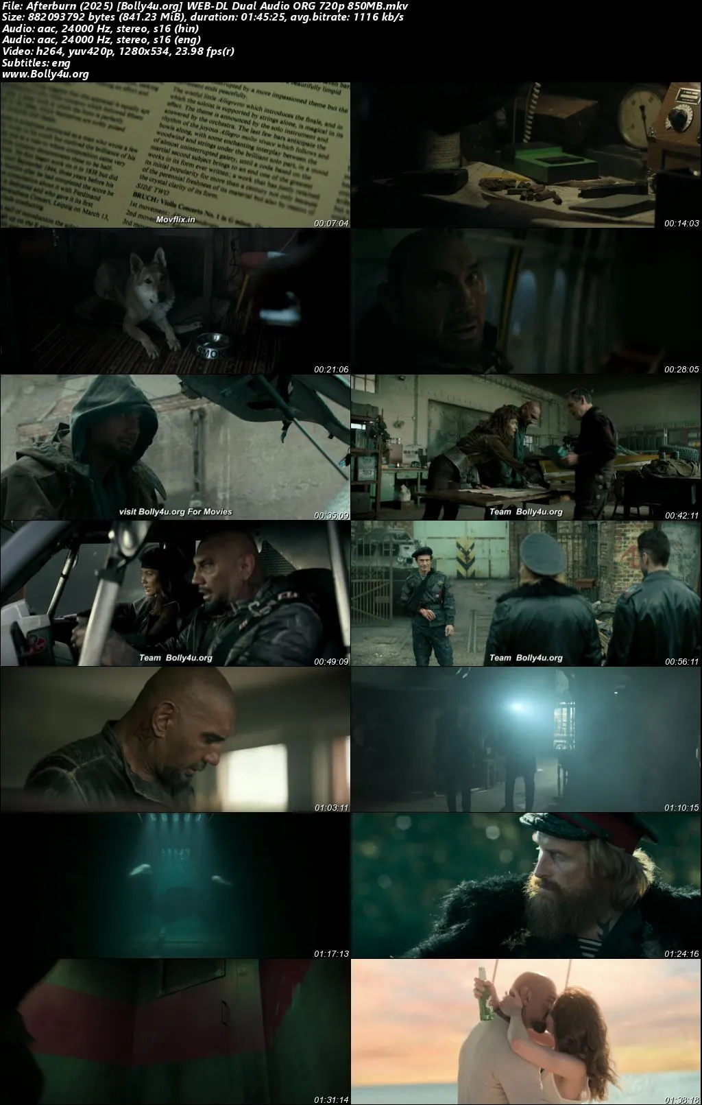 Afterburn 2025 WEB-DL Hindi Dual Audio ORG Full Movie Download 1080p  720p  480p