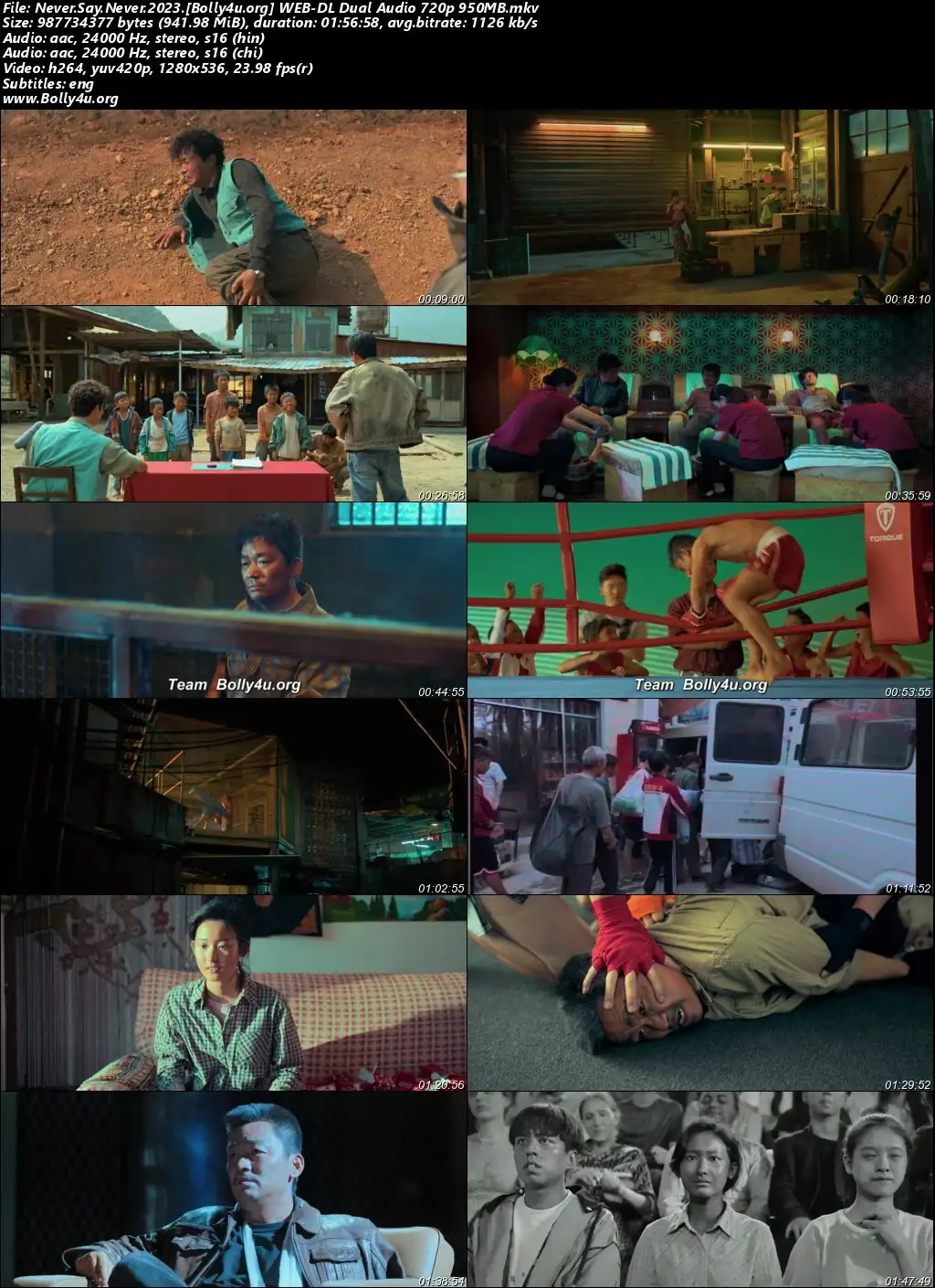 Never Say Never 2023 WEB-DL Hindi Dual Audio ORG Full Movie Download 1080p  720p  480p