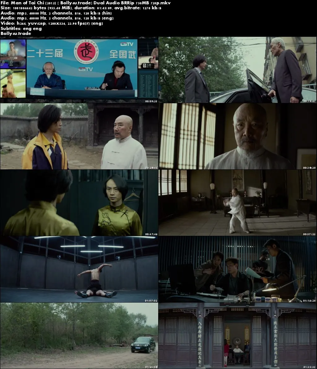 Man of Tai Chi 2013 BluRay 950MB Hindi Dual Audio 720p Download