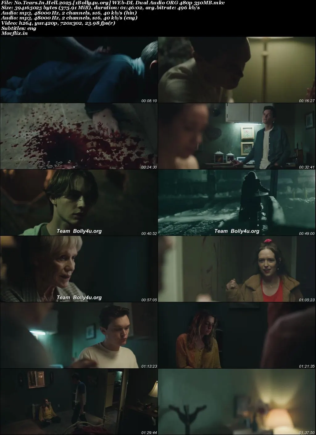 No Tears In Hell 2025 WEB-DL Hindi Dual Audio ORG Full Movie Download 1080p  720p  480p