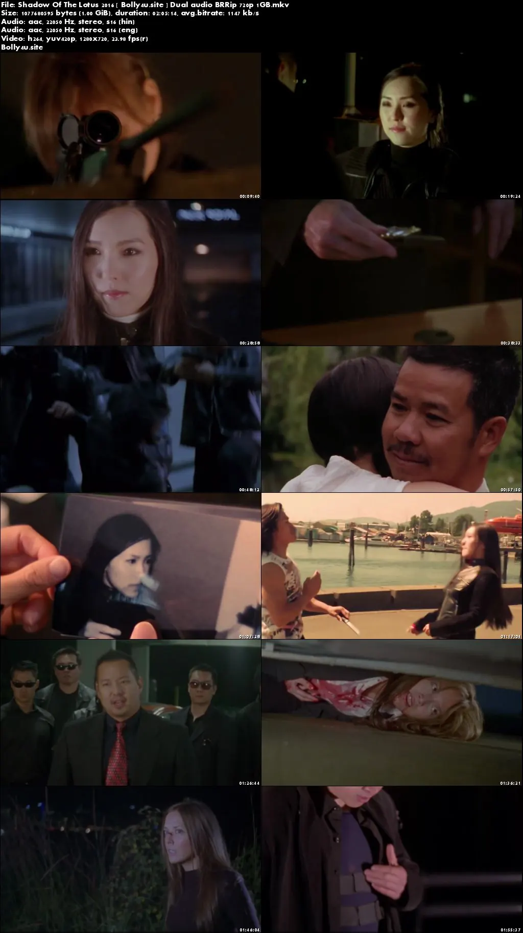 Shadow Of The Lotus 2016 BRRip 1GB Hindi Dual Audio 720p Download Shadow Of The Lotus 2016 BRRip 1GB Hindi Dual Audio 720p Download