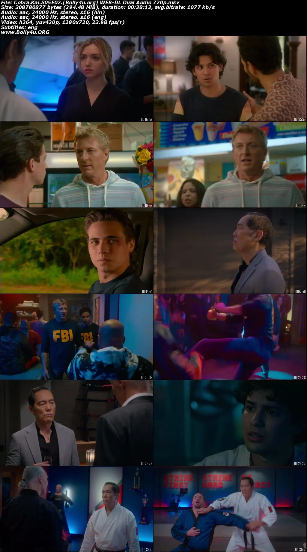 Cobra Kai 2022 WEB-DL Hindi Dual Audio ORG S05 Complete Download 720p  480p