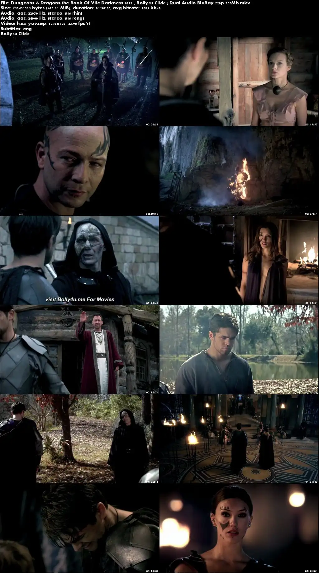 Dungeons And Dragons 3 2012 BRRip 300MB Hindi Dual Audio 480p Download