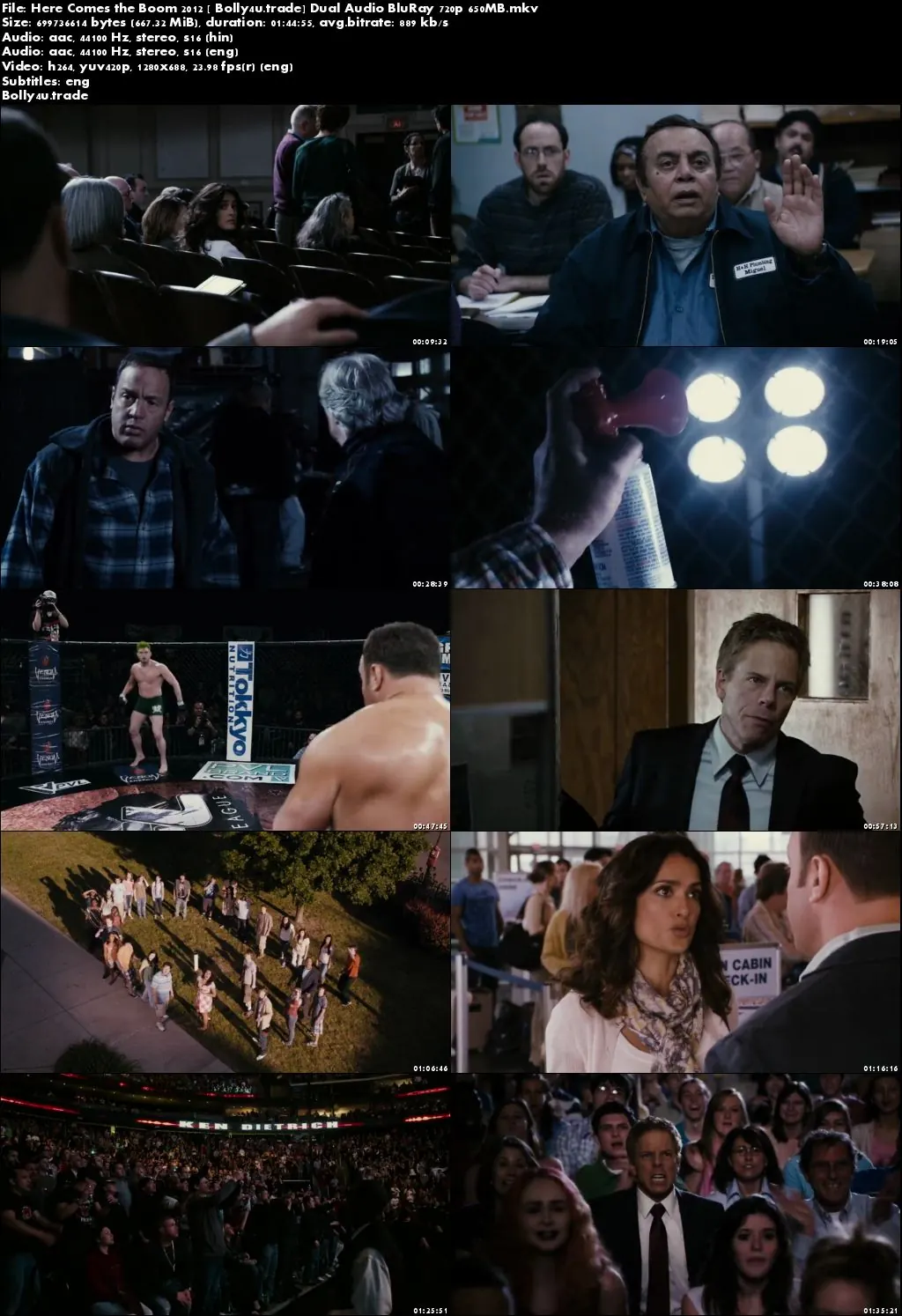 Here Comes the Boom 2012 BluRay 650Mb Hindi Dual Audio 720p Download