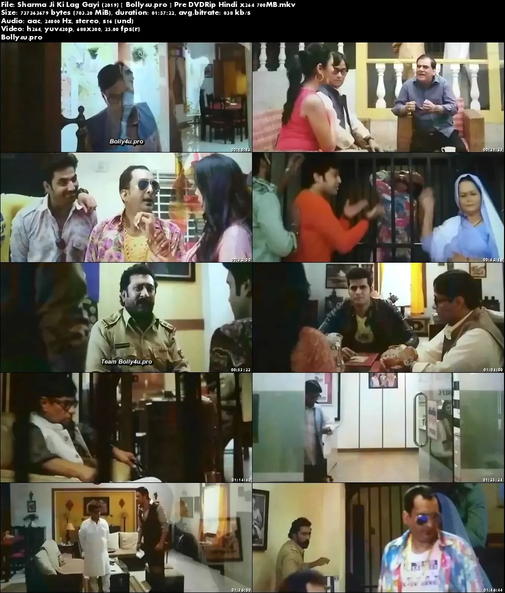Sharma Ji Ki Lag Gayi 2019 Pre DVDRip 700MB Hindi x264 Download