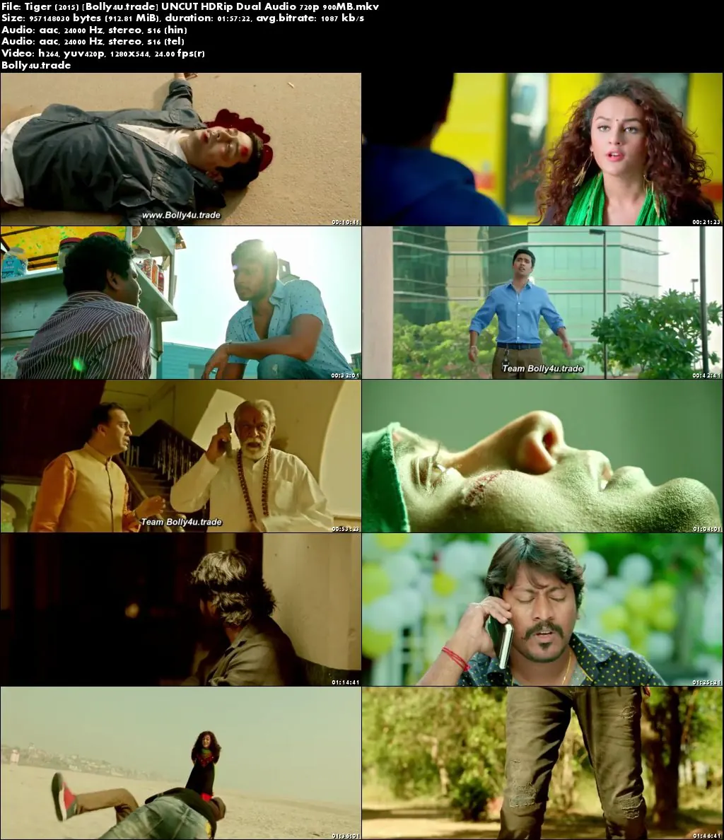 Tiger 2015 HDRip 400MB UNCUT Hindi Dual Audio 480p Download