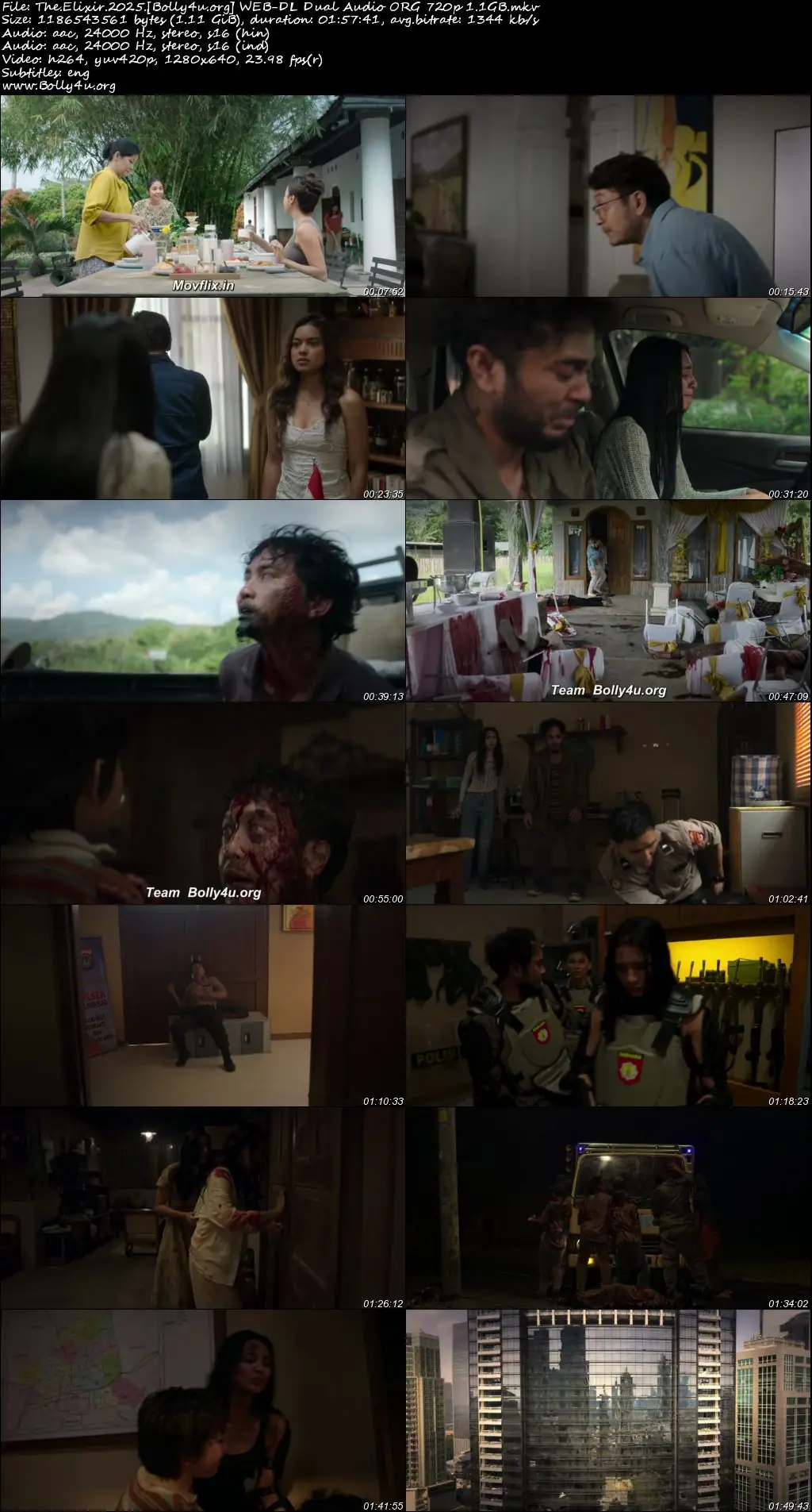 The Elixir 2025 WEB-DL Hindi Dual Audio ORG Full Movie Download 1080p  720p  480p