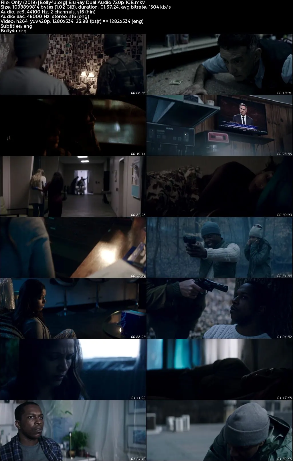 Only 2019 BluRay Hindi Dual Audio Full Movie Download 720p  480p