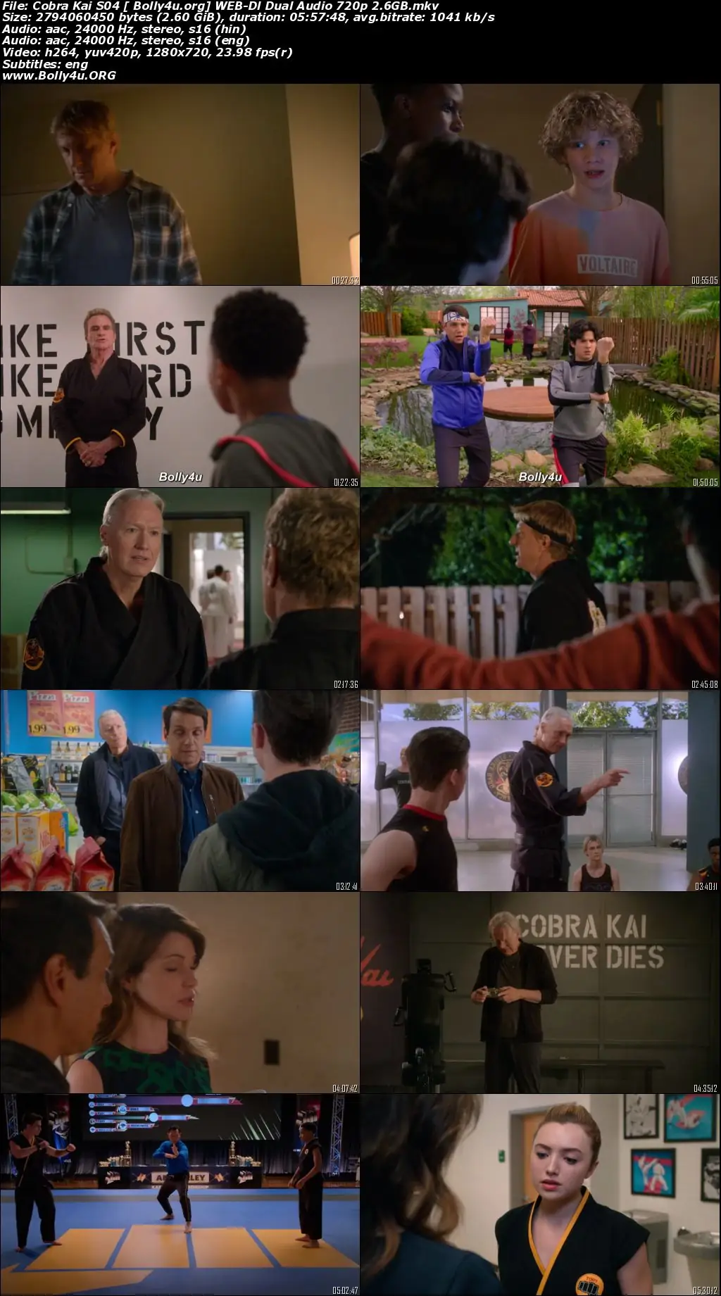 Cobra Kai 2021 WEB-DL 2.6Gb Hindi Dual Audio S04 Download 720p