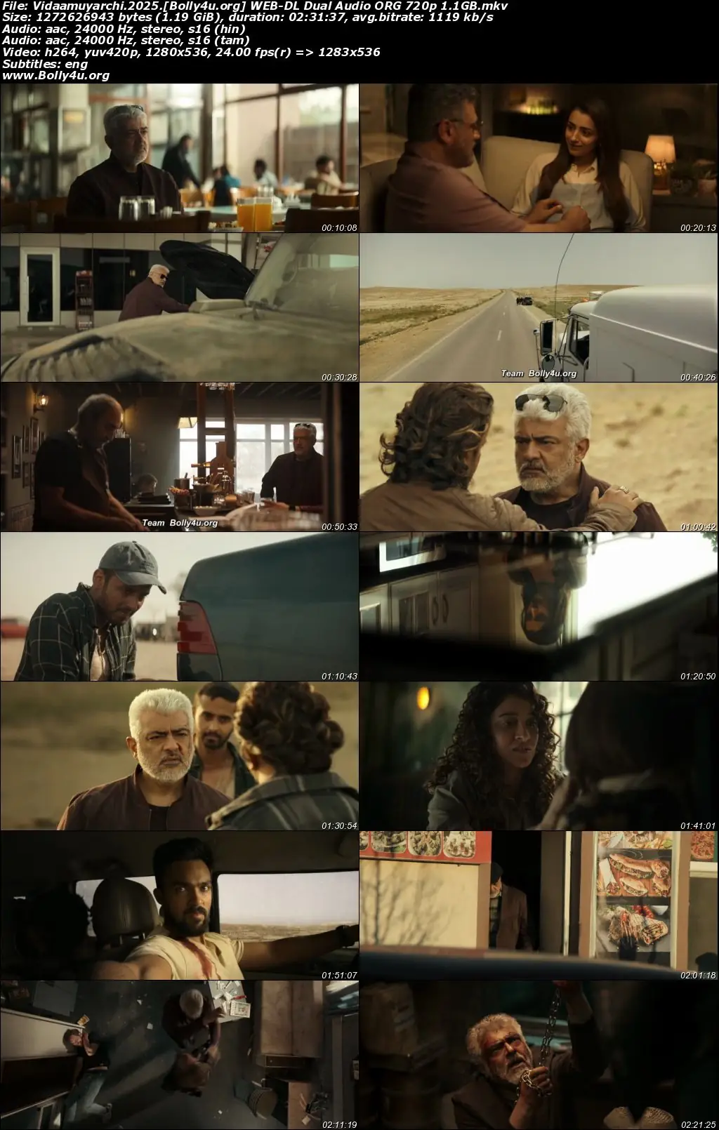 Vidaamuyarchi 2025 WEB-DL UNCUT Hindi Dual Audio ORG Full Movie Download 1080p  720p  480p