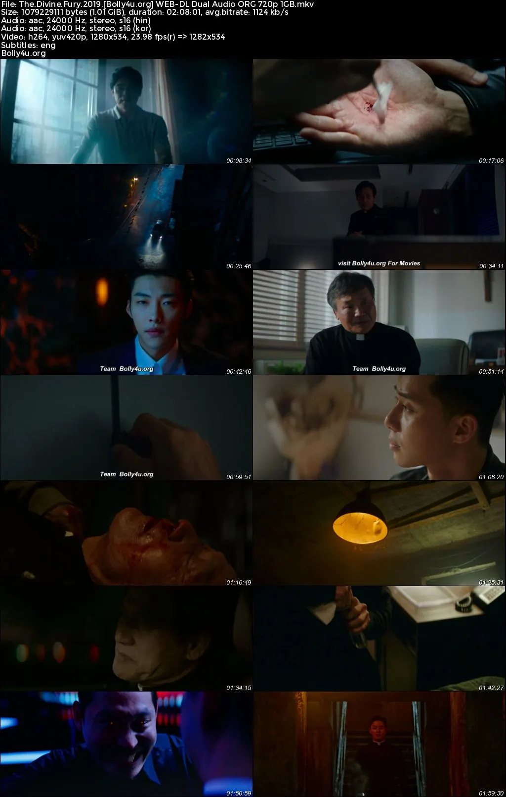 The Divine Fury 2019 WEB-DL Hindi Dual Audio ORG Full Movie Download 1080p  720p  480p