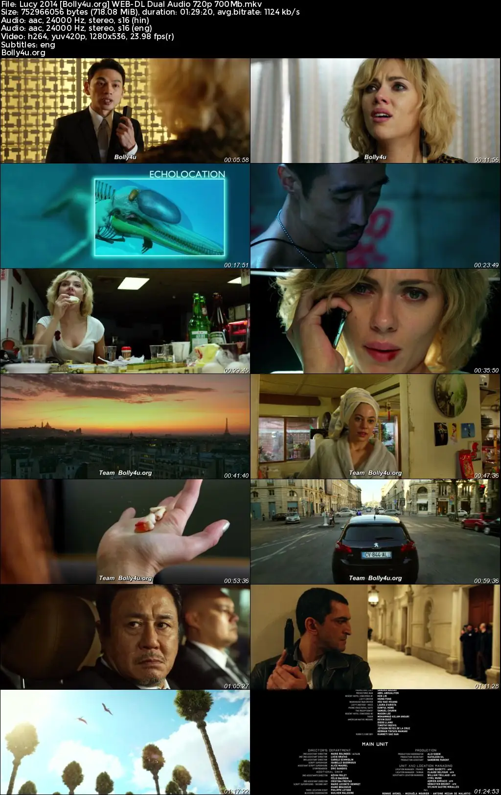 Lucy 2014 BluRay Hindi Dual Audio Full Movie Download 1080p  720p  480p