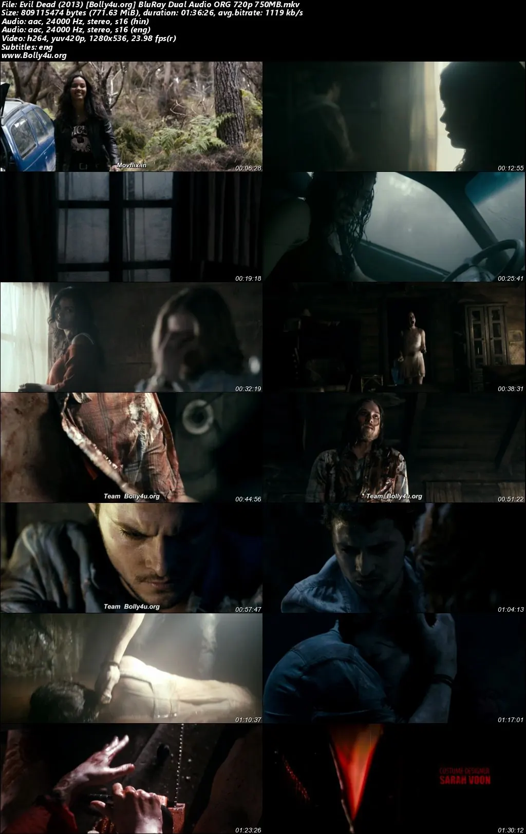Evil Dead 2013 BluRay Hindi Dual Audio ORG Full Movie Download 1080p  720p  480p