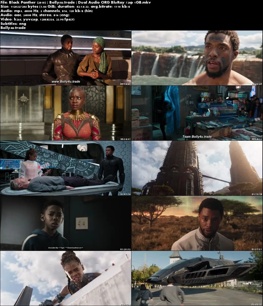 Black Panther 2018 BluRay Hindi Dubbed Dual Audio ORG 720p ESub Download