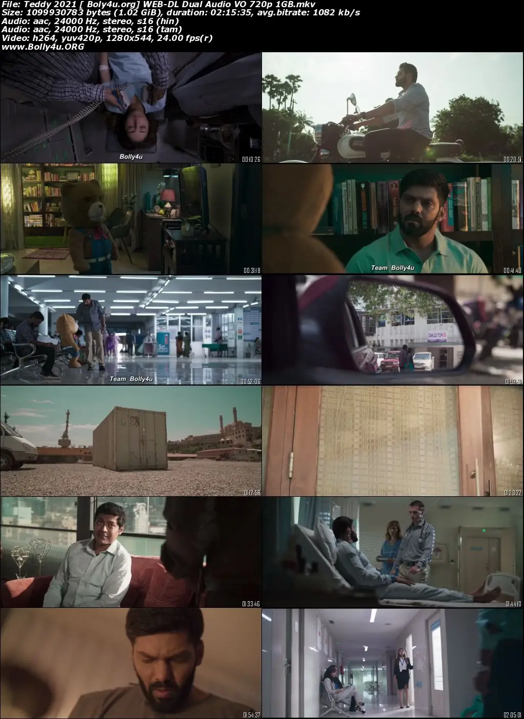 Teddy 2021 WEB-DL 1GB Hindi (Voice Over) Dual Audio 720p Download