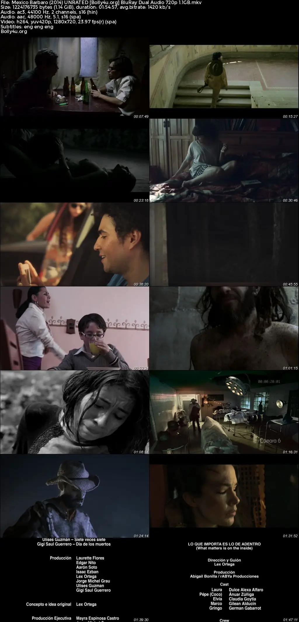Mexico Barbaro 2014 BluRay UNRATED Hindi Dual Audio Full Movie Download 720p  480p