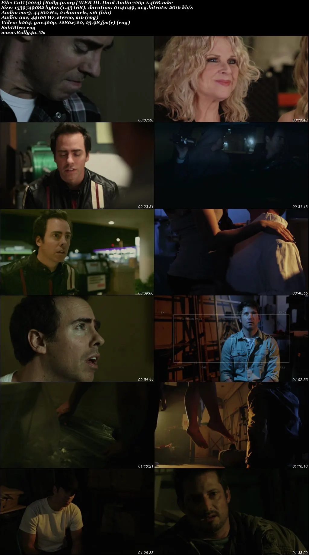 Cut! 2014 WEB-DL Hindi Dual Audio Full Movie Download 720p  480p