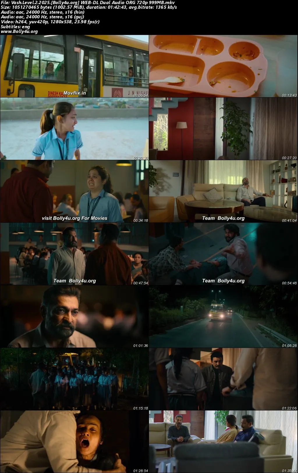 Vash Level 2 2025 WEB-DL UNCUT Hindi Dual Audio ORG Full Movie Download 1080p  720p  480p