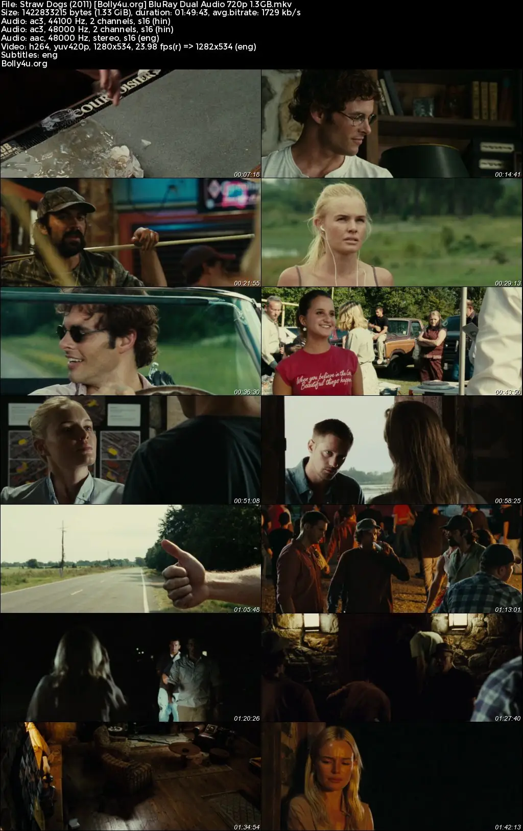 Straw Dogs 2011 BluRay Hindi Dual Audio Full Movie Download 720p  480p