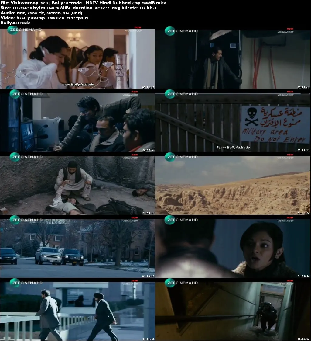 Vishwaroopam 2013 HDTV 900Mb Full Hindi Dubbed Movie Download 720p