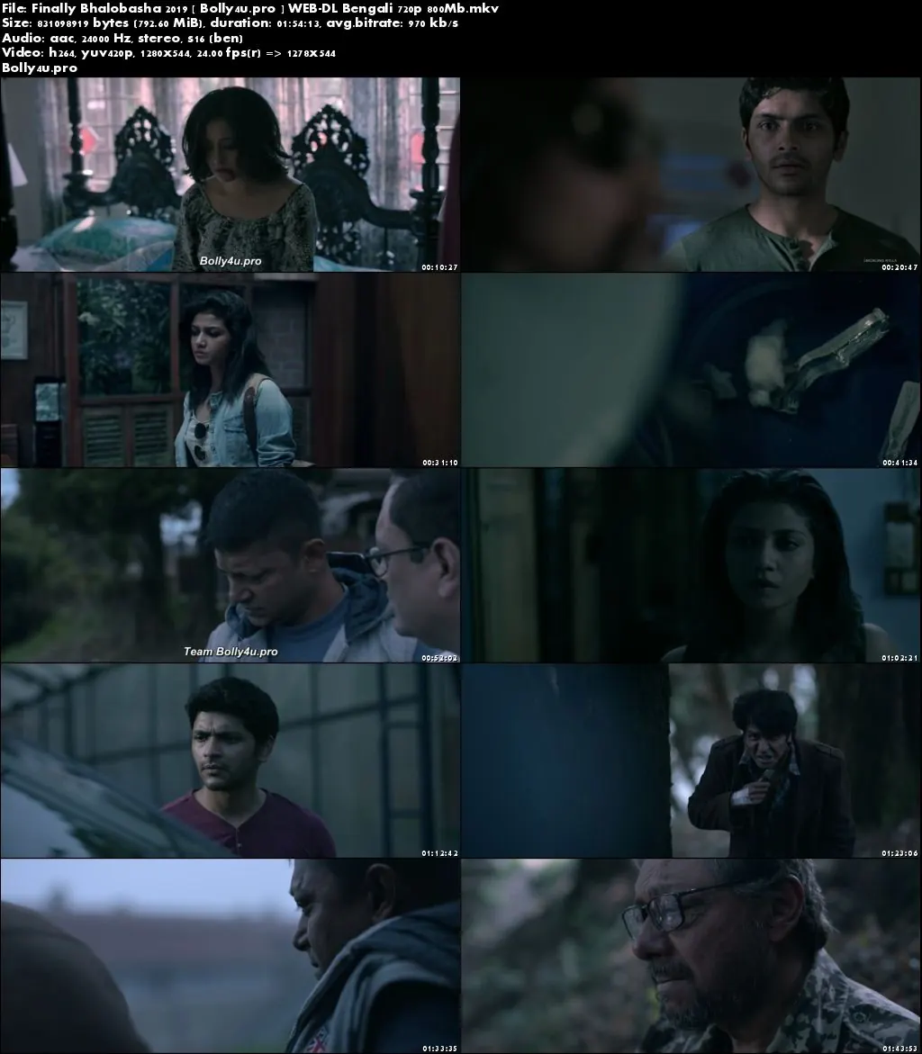 Finally Bhalobasha 2019 WEB-DL 350MB Bengali 480p Download