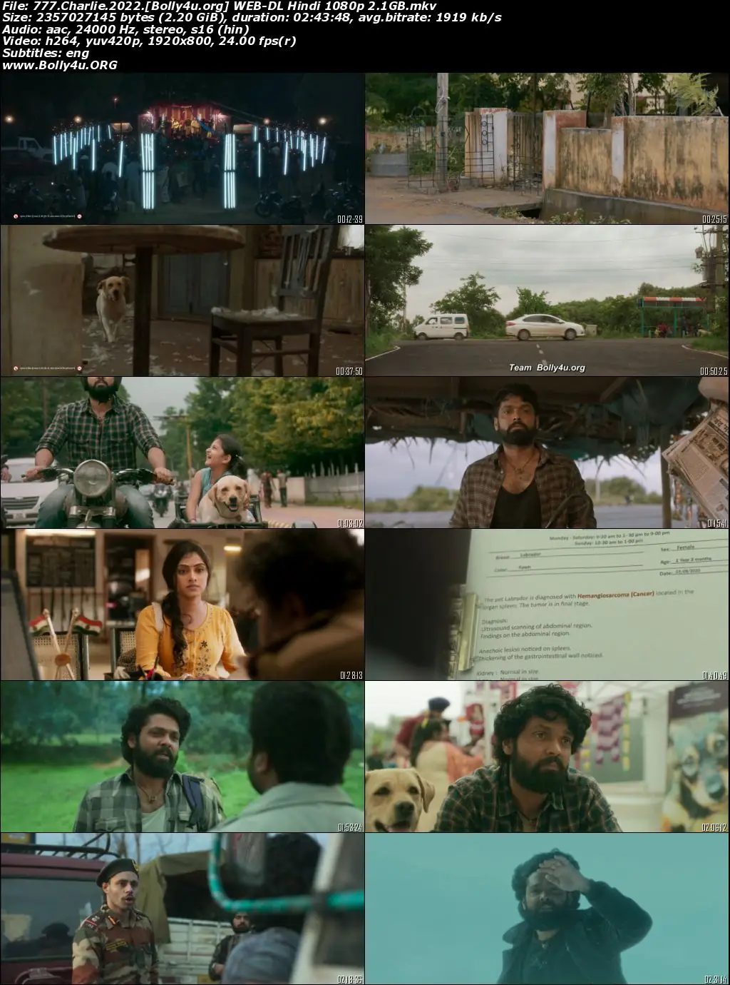 777 Charlie 2022 WEB-DL Hindi Dubbed ORG Full Movie Download 1080p  720p  480p