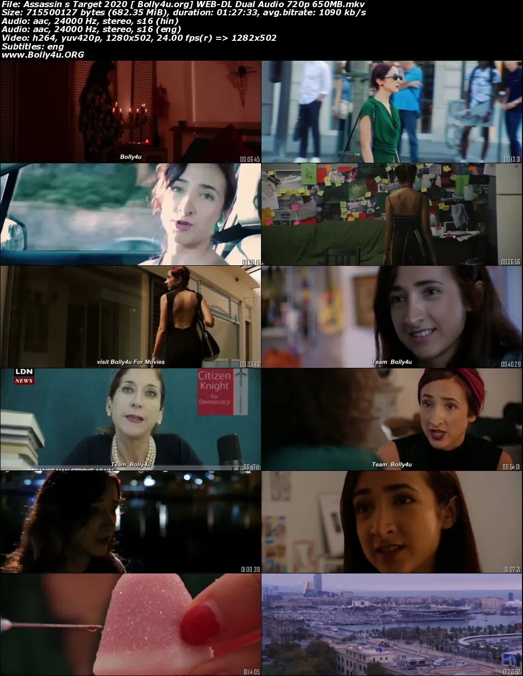Assassins Target 2020 WEB-DL 650MB Hindi Dual Audio 720p Download