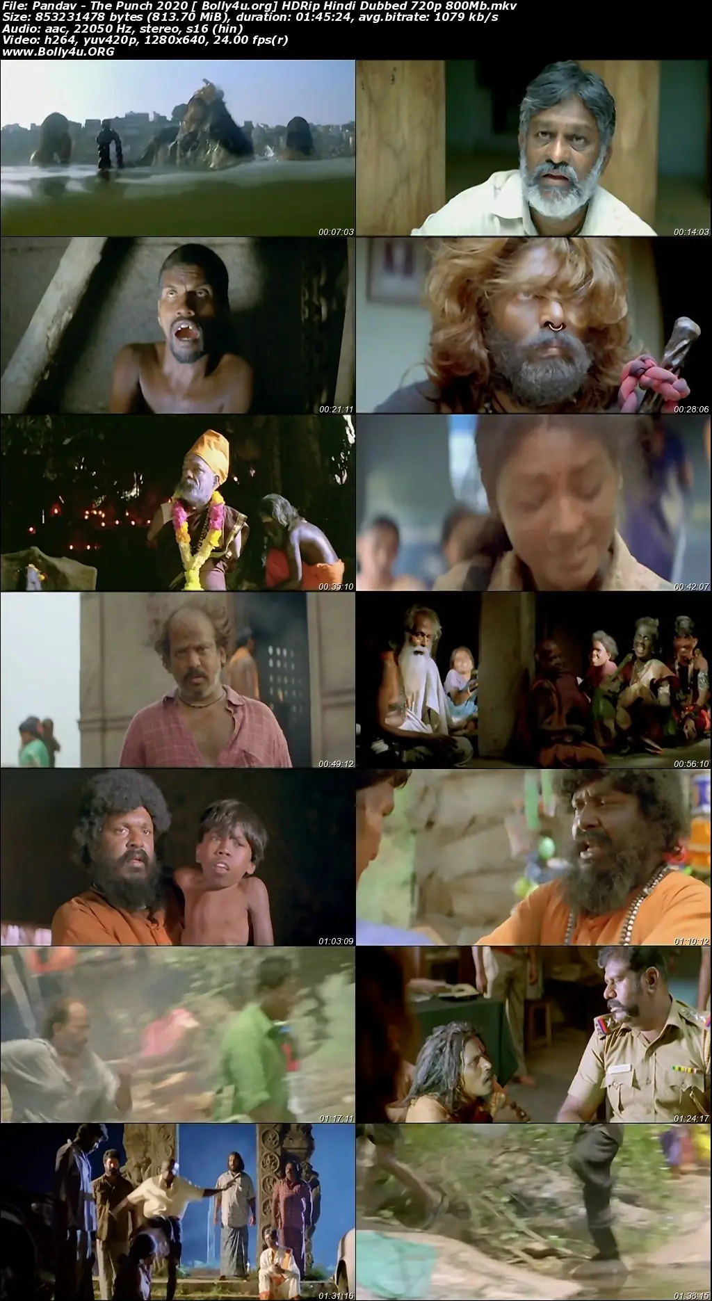 Pandav The Punch 2020 HDRip 300Mb Hindi Dubbed 480p Download