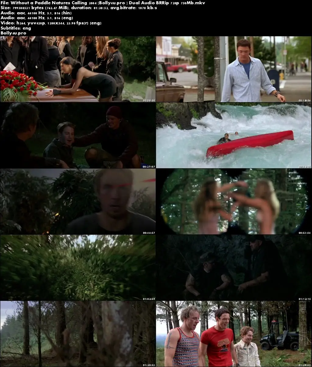 Without a Paddle Natures Calling 2004 BRRip 300MB Hindi Dual Audio 480p Download