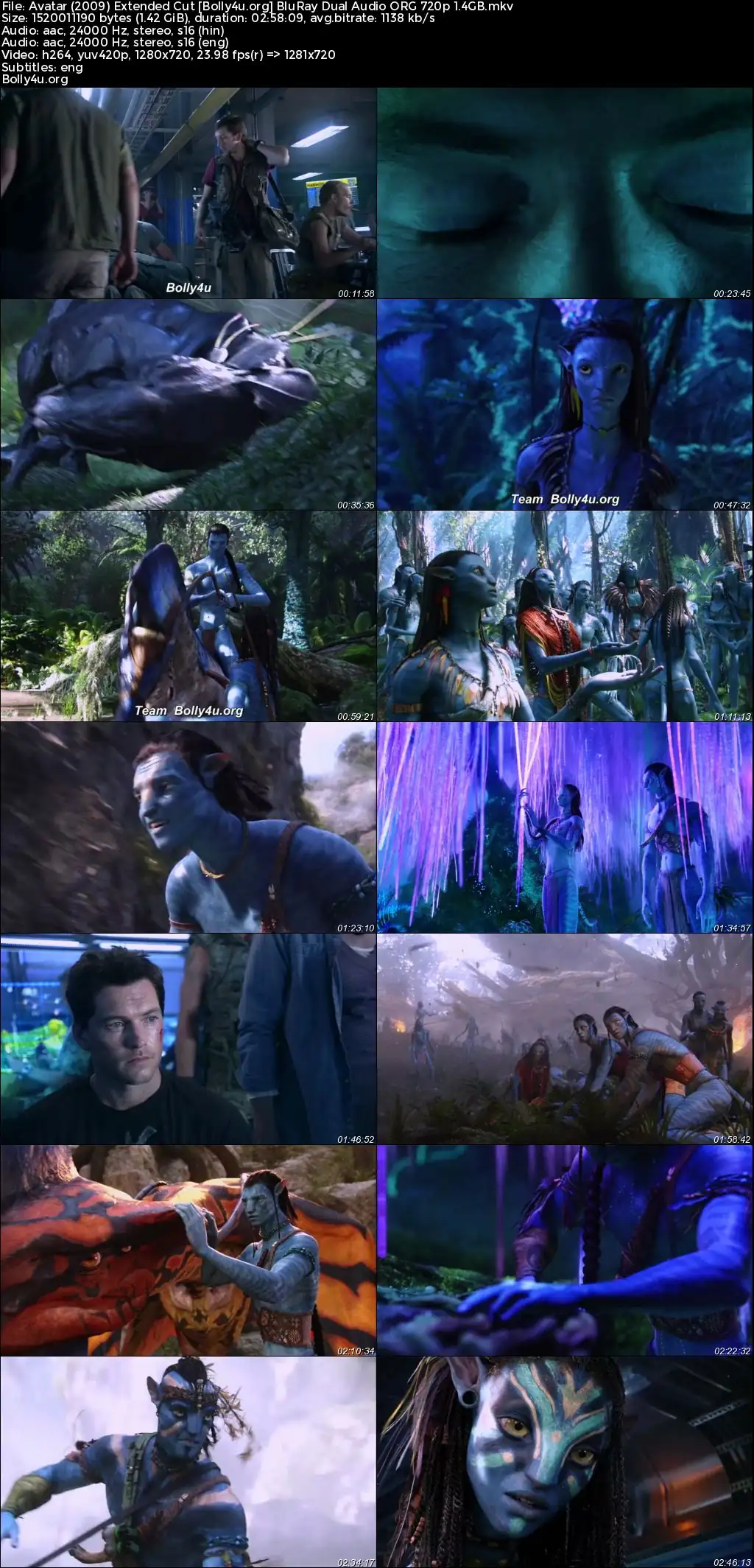 Avatar 2009 BRRip Hindi Dual Audio Extended CUT Full Movie Download 1080p  720p  480p