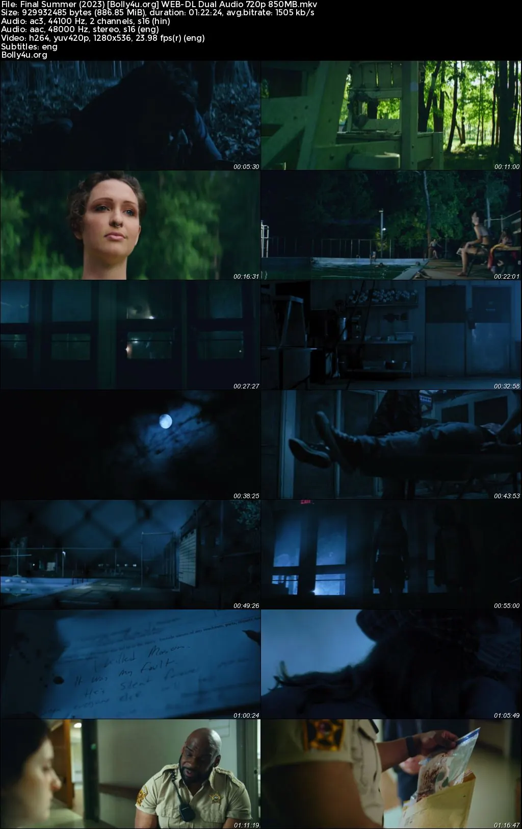 Final Summer 2023 WEB-DL Hindi Dual Audio Full Movie Download 720p  480p