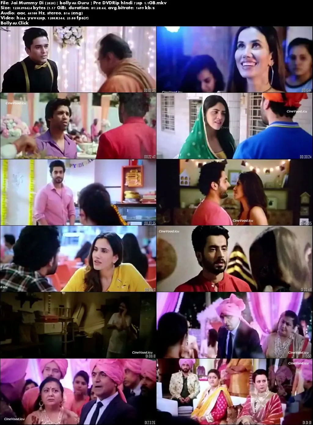 Jai Mummy Di 2020 Pre DVDRip Full Hindi Movie Download 720p