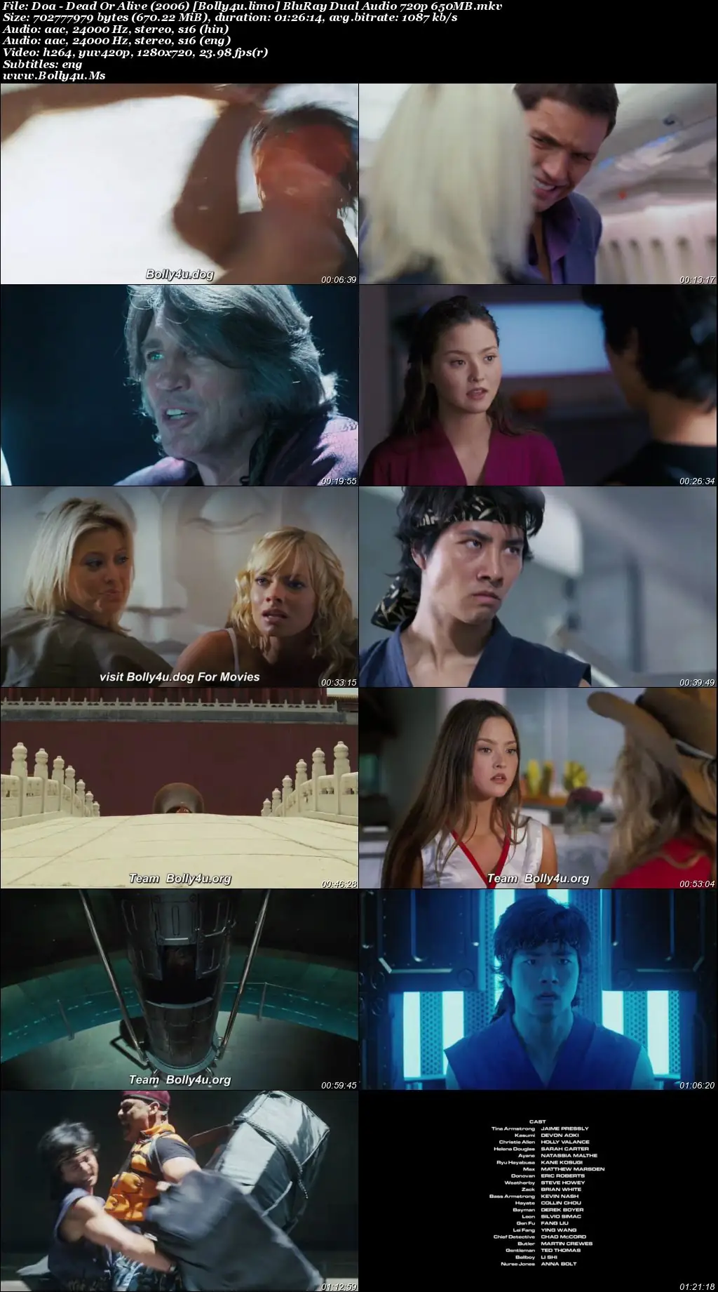 DOA - Dead Or Alive 2006 BluRay Hindi Dual Audio ORG Full Movie Download 1080p  720p  480p