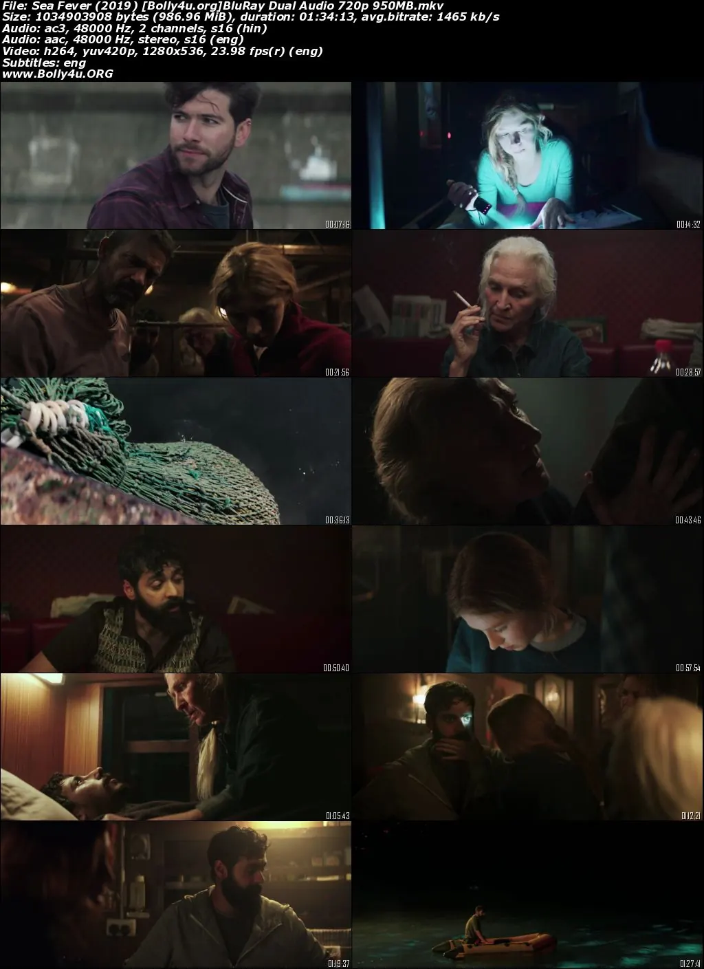 Sea Fever 2019 BluRay Hindi Dual Audio Full Movie Download 720p  480p