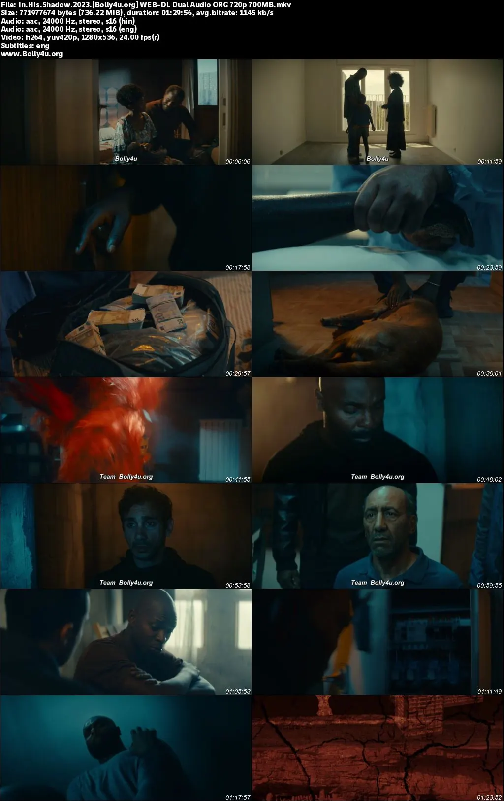 In His Shadow 2023 WEB-DL Hindi Dual Audio ORG Full Movie Download 1080p  720p  480p