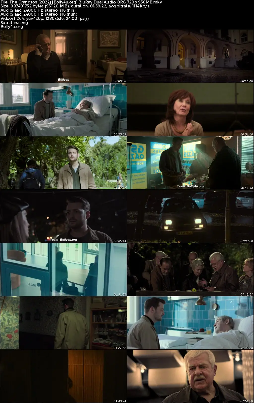 The Grandson 2022 BluRay Hindi Dual Audio ORG Full Movie Download 1080p  720p  480p