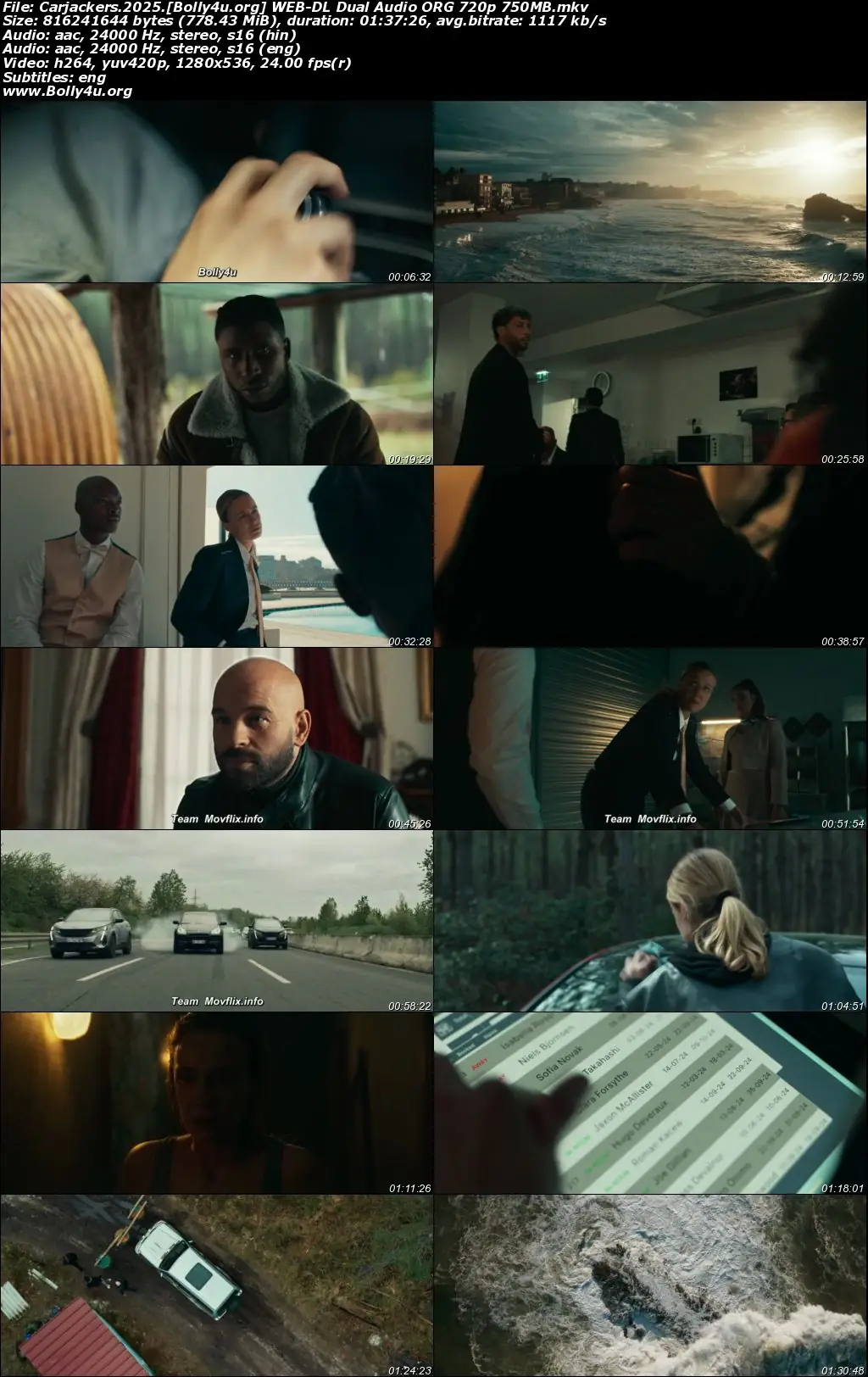 Carjackers 2025 WEB-DL Hindi Dual Audio ORG Full Movie Download 1080p  720p  480p