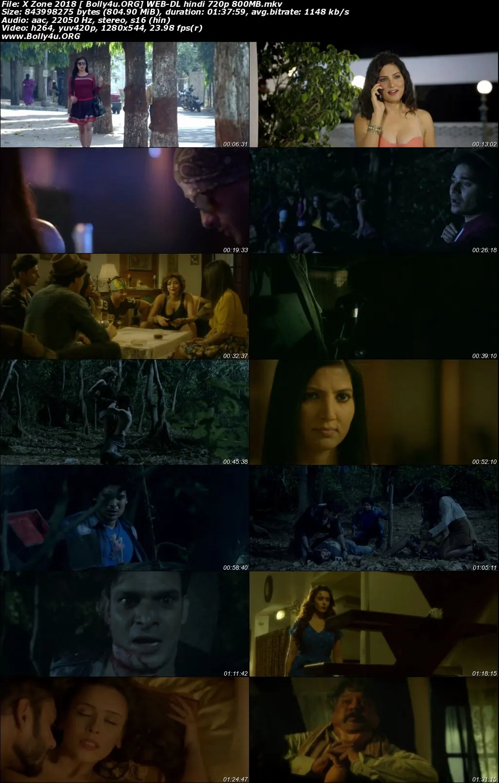 X Zone 2018 WEB-DL 300Mb Hindi 480p Download