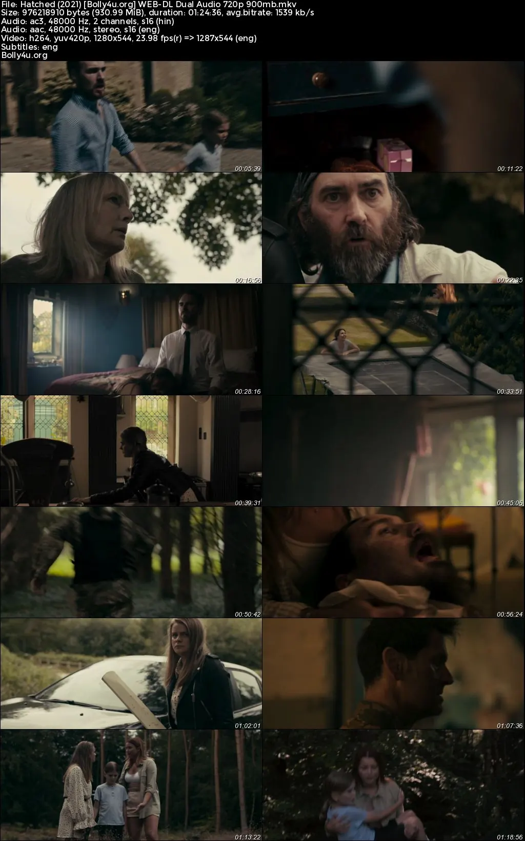 Hatched 2021 WEB-DL Hindi Dual Audio Full Movie Download 720p  480p