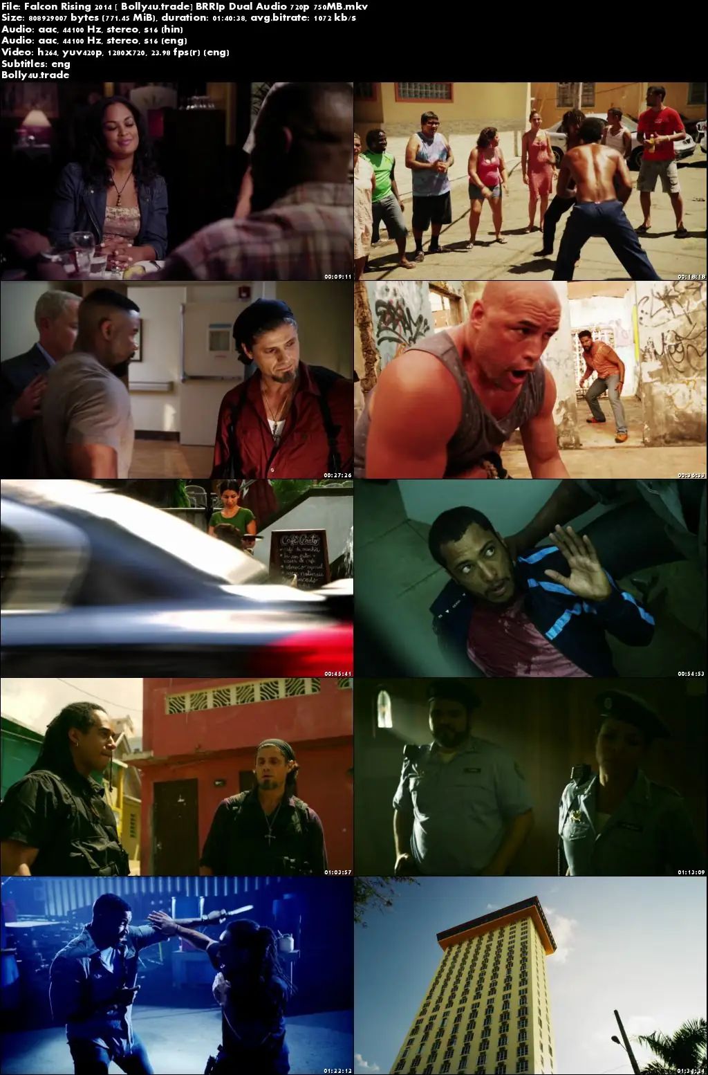 Falcon Rising 2014 BRRip 300Mb Hindi Dual Audio 480p Download