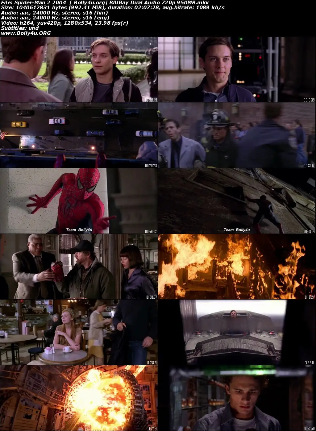 Spider-Man 2 2004 BluRay 400Mb Hindi Dual Audio 480p Download
