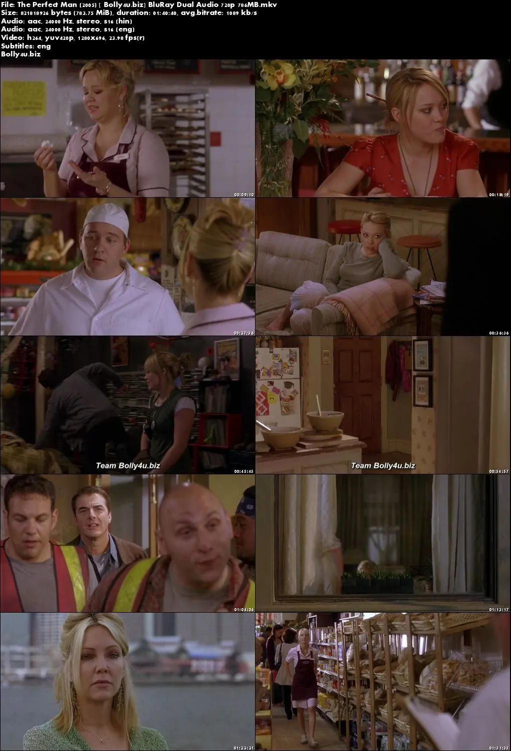The Perfect Man 2005 BluRay 350Mb Hindi Dual Audio 480p Download