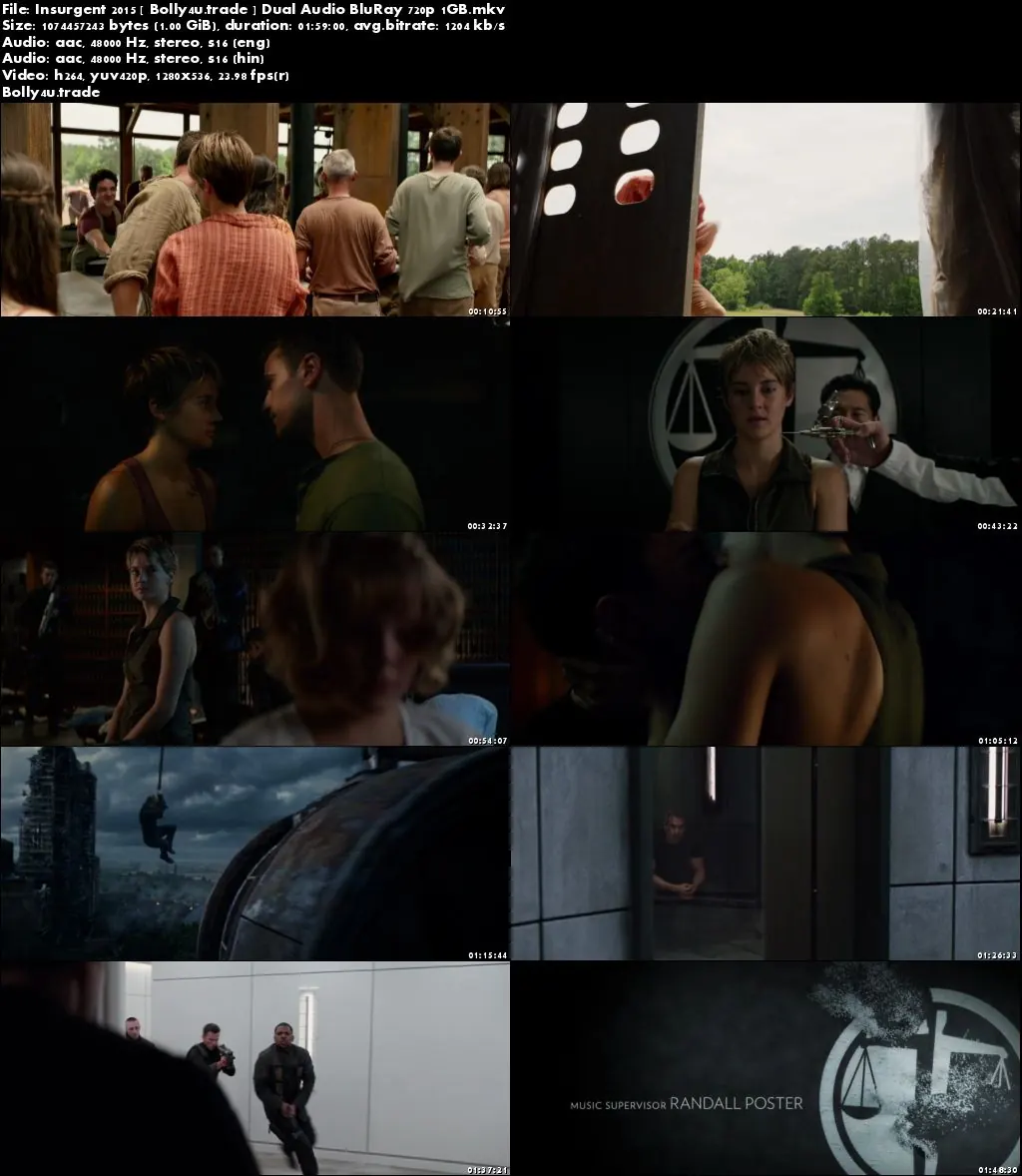 Insurgent 2015 BluRay 400MB Full Hindi Dual Audio Movie Download 480p Download